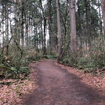 Lewisville Regional Park - Great trail! - Parks Near Me - Battle Ground, Washington Lewisville Regional Park - Great trail! - Parks Near Me - Battle Ground, Washington