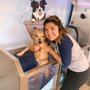 Photo of Banjo’s Self Dog Wash