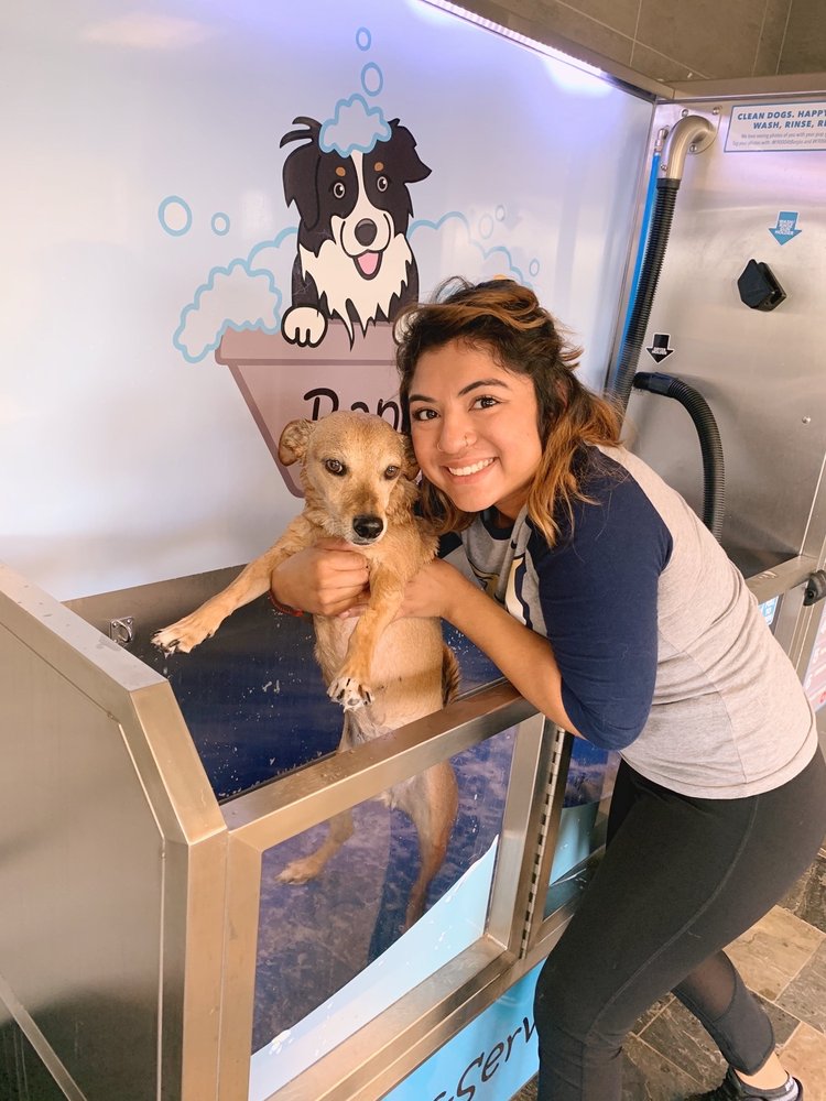 BANJO’S SELF DOG WASH Updated September 2024 20 Photos & 15 Reviews