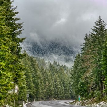 Olympic National Park - Parks Near Me - Port Angeles, Washington