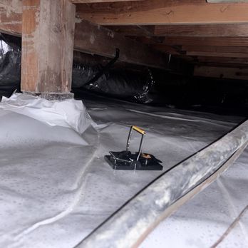 Attic Pros - Trap still set and undisturbed, rodent proofing effective - Pest Control Near Me - Oakland, California Attic Pros - Trap still set and undisturbed, rodent proofing effective - Pest Control Near Me - Oakland, California