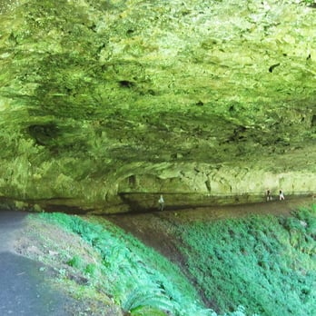 Silver Falls State Park - ceiling of North Falls - charred remains of ancient trees buried in lava flow - Hiking Near Me - Sublimity, Oregon Silver Falls State Park - ceiling of North Falls - charred remains of ancient trees buried in lava flow - Hiking Near Me - Sublimity, Oregon