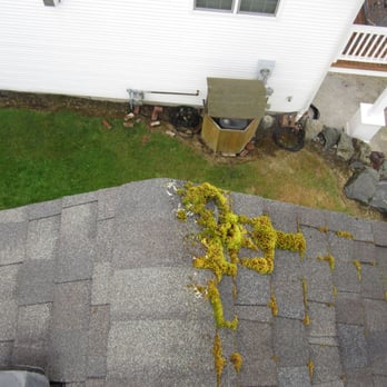 NW Moss Removal - Before... - Roofing Near Me