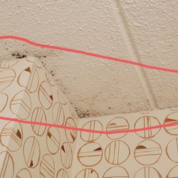 Holiday Inn Auburn-Finger Lakes Region - Mold