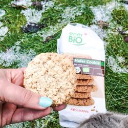 Rossmann - wistfully enjoying the very last of these amazing, organic, plantbased oat cookies, december 2016