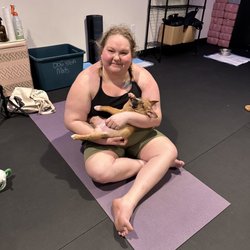 Movement Lounge By Yoga Muttz - Puppy yoga class