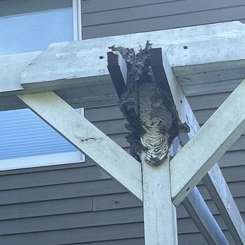 Capital City Pest Solutions - Removed within 60 minutes of reaching out to Capital City Pest Solutions. - Pest Control Near Me Capital City Pest Solutions - Removed within 60 minutes of reaching out to Capital City Pest Solutions. - Pest Control Near Me