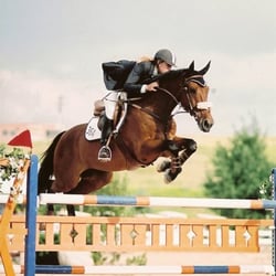 Dapple Gray Farm - Jumping high!