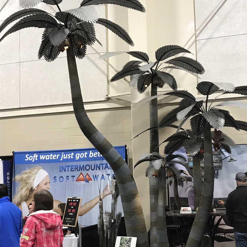 Designer Palms - Landscape Architects or Designers Near Me - Andover, Kansas Designer Palms - Landscape Architects or Designers Near Me - Andover, Kansas