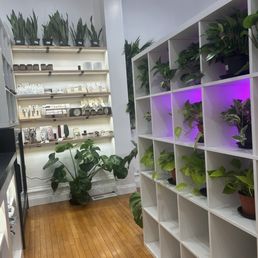 Inside Inside
