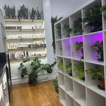 Plant Box - Plants and jewelry - Coffee & Tea Near Me - York, Pennsylvania Plant Box - Plants and jewelry - Coffee & Tea Near Me - York, Pennsylvania