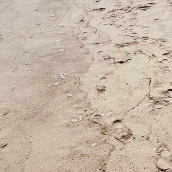 1. Maryland Ave Beach NJ