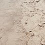 Photo of Maryland Ave Beach NJ