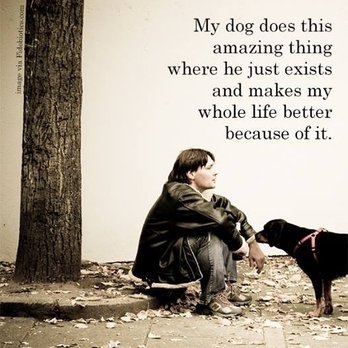 Compassion 4 Paws - Pet Hospice Near Me Compassion 4 Paws - Pet Hospice Near Me