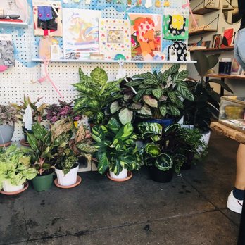 Crush & Touch - Gift Shops Near Me - Los Angeles, California