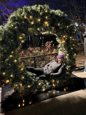 Saint Louis Zoo by null