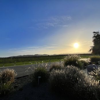 Tolosa Winery - the sun setting over a vineyard - Wineries Near Me - San Luis Obispo, California Tolosa Winery - the sun setting over a vineyard - Wineries Near Me - San Luis Obispo, California