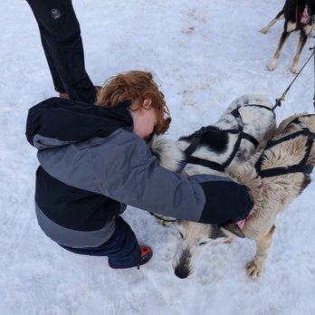 Bear Ridge Adventures - The dogs are so friendly, sweet, and tolerant. And really enjoyed a gentle hug after the ride. - Sledding Near Me - Coalville, Utah