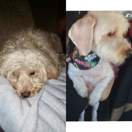 Charlie before and after Charlie before and after