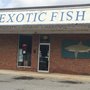 Photo of Exotic Fish