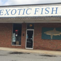 Exotic Fish