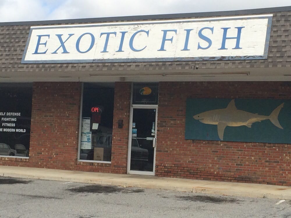 EXOTIC FISH Updated September 2024 406 Northside Dr, Valdosta