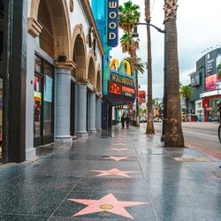 Theatre of Arts - Theatre of Arts main campus on Hollywood Walk of Fame