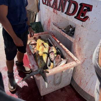 H & M Landing - Bloody decks on the Grande! - Boating Near Me - San Diego, California