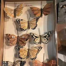 Middletown Nursery and Garden Center