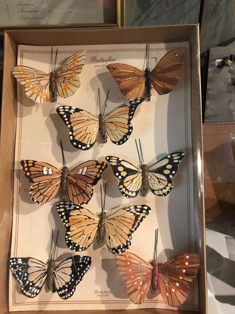 MIDDLETOWN NURSERY AND GARDEN CENTER Updated September 2024 11