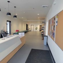 Vitalidad Movement Arts Center