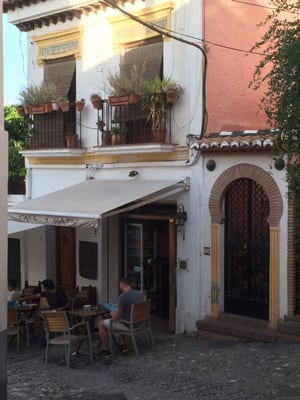 Café 4 Gatos by null