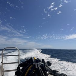 Sea Stallion Scuba Outfitters - Boat to Catalina!