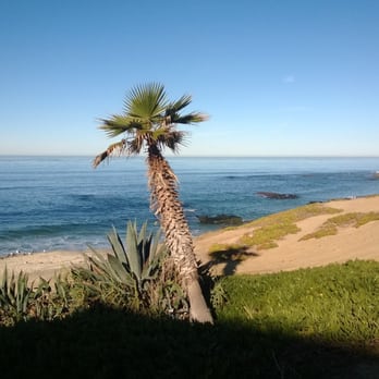 Windansea Beach - Beaches Near Me Windansea Beach - Beaches Near Me