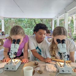 Camp Live Oak - Thanks to the generous donations to our founders Birthday Fund Raiser Campers get to enjoy looking at the microscopic world at camp