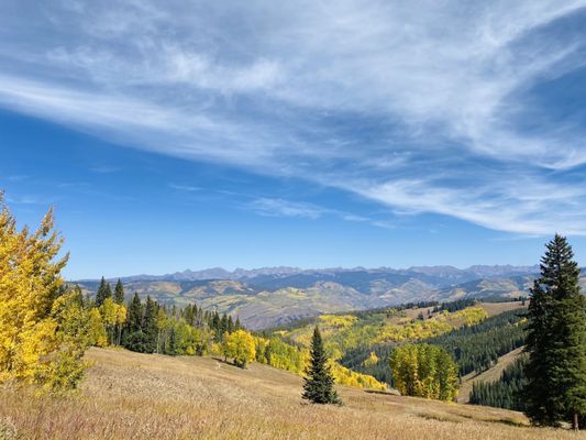 Park Hyatt Beaver Creek Resort and Spa by null