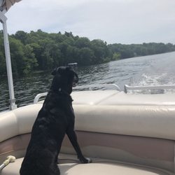 Waterside Resort & Boat Rental - Officially a lake dog!