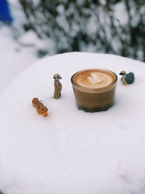 Germantown Espresso Bar (New Location) by null