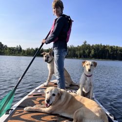 Paddle Hoppers - Standup Paddle Boarding with the dogs.