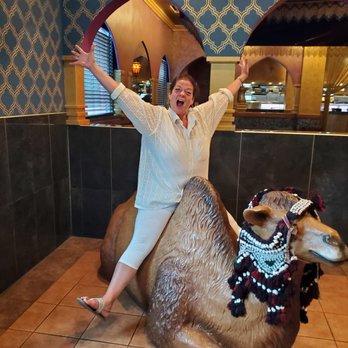 Palm Palace - Camel Riding - Middle Eastern Near Me - Ann Arbor, Michigan Palm Palace - Camel Riding - Middle Eastern Near Me - Ann Arbor, Michigan