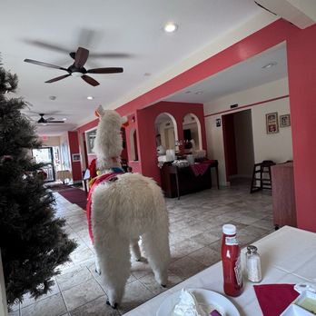 Sabor Peru - Entrance view from the main dining area... and the cute llama's but lol - Peruvian Near Me - New Haven, Connecticut Sabor Peru - Entrance view from the main dining area... and the cute llama's but lol - Peruvian Near Me - New Haven, Connecticut