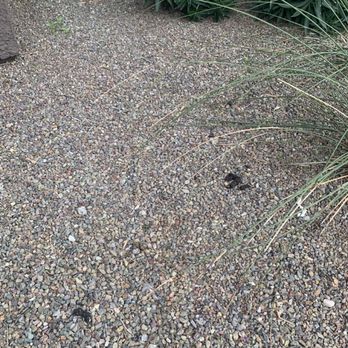 The Reserve on Cave Creek - More dog poop!!!! - Apartments Near Me - Phoenix, Arizona The Reserve on Cave Creek - More dog poop!!!! - Apartments Near Me - Phoenix, Arizona