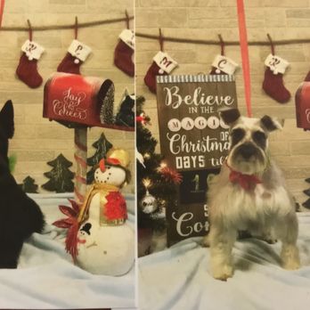 Karina Miller - Pet Groomers Near Me - Suwanee, Georgia Karina Miller - Pet Groomers Near Me - Suwanee, Georgia