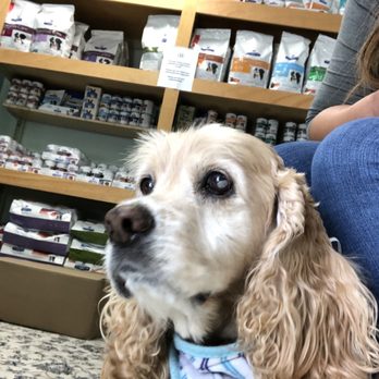 Lindsey Veterinary Care - Veterinarians Near Me - San Diego, California Lindsey Veterinary Care - Veterinarians Near Me - San Diego, California