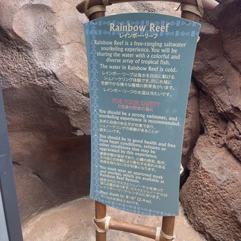 Rainbow Reef - Aquariums Near Me Rainbow Reef - Aquariums Near Me