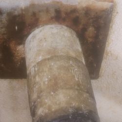 Little Caesars - Mold and exposed electrical wire ( springfield)