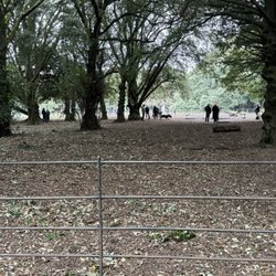 St Anne's Park