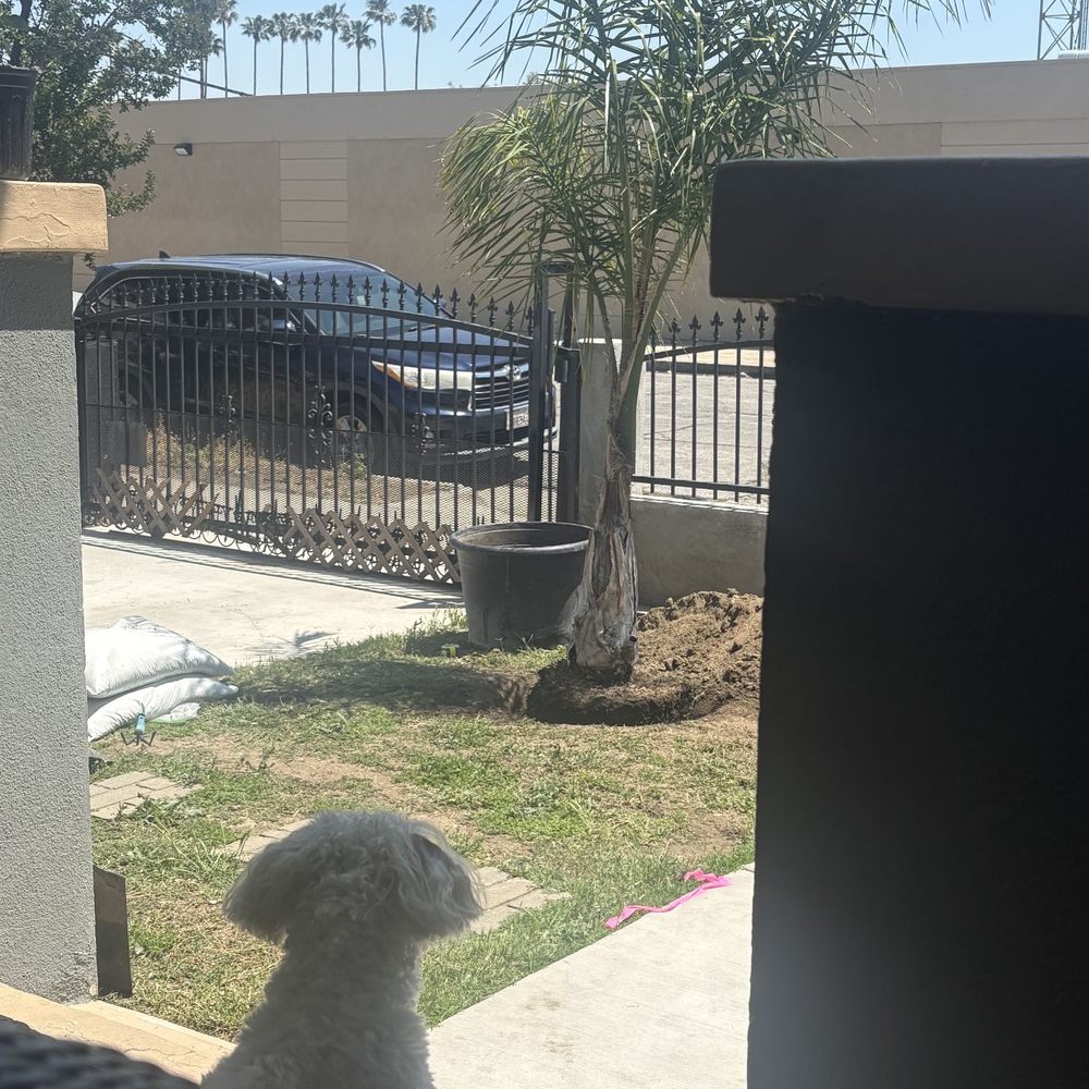 TOP 10 BEST Wholesale Plants in Moreno Valley, CA - Updated 2025 - Yelp