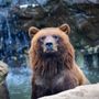 Photo of Lake Superior Zoo