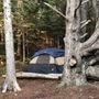 Photo of Schoodic Woods Campground